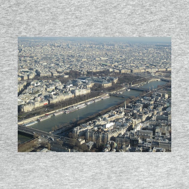 Paris City View from Eiffel Tower by BlackBeret